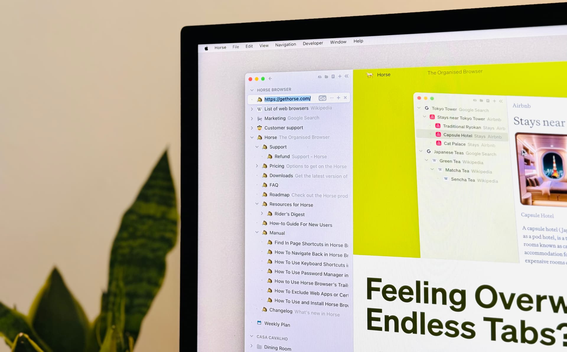 Computer screen showing Horse Browser with new url shown in sidebar
