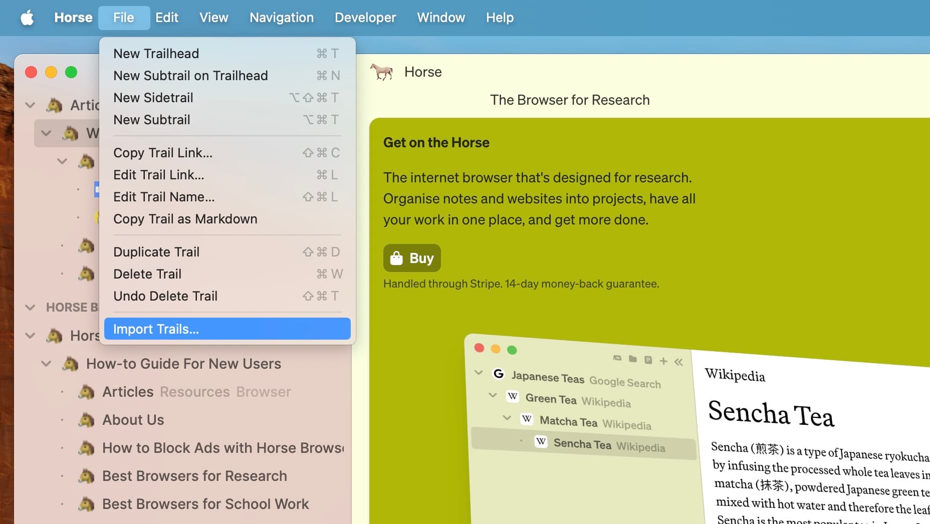 Image 11-09-2024 at 11.40.jpeg