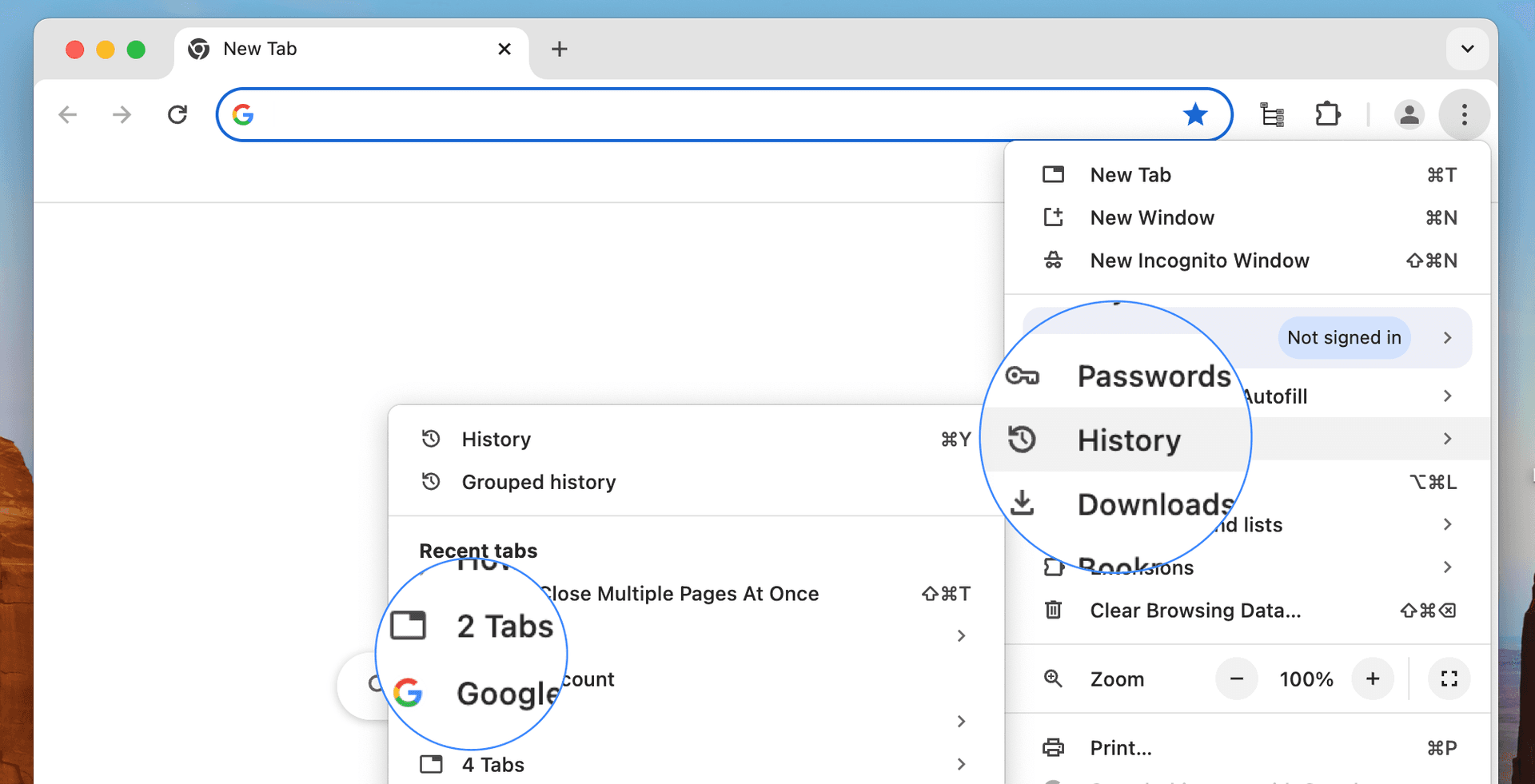 Google Chrome History Menu