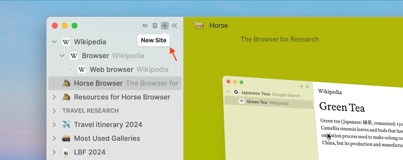 How to open a new Trail in Horse Browser with arrow pointing to + button at top of sidebar