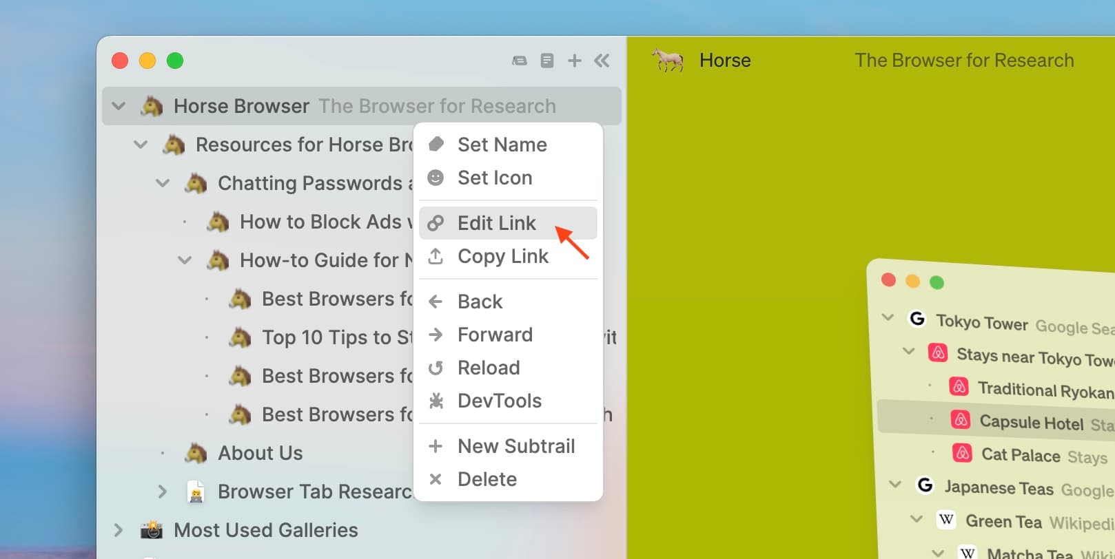 Page Menu in Horse Browser, showing option to Edit Link